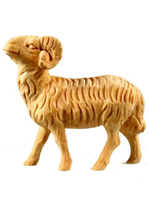 Schafbock Schafbock