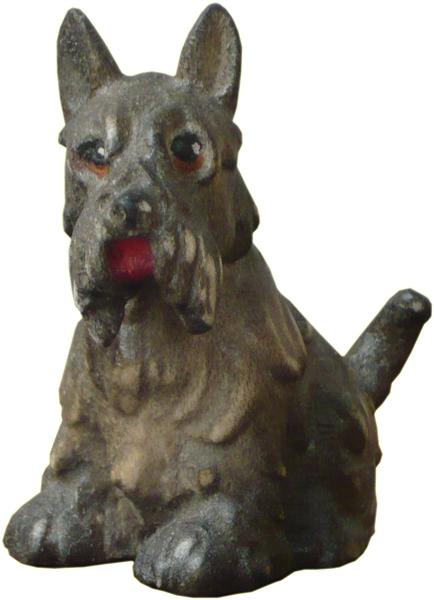 Schnauzer Schnauzer