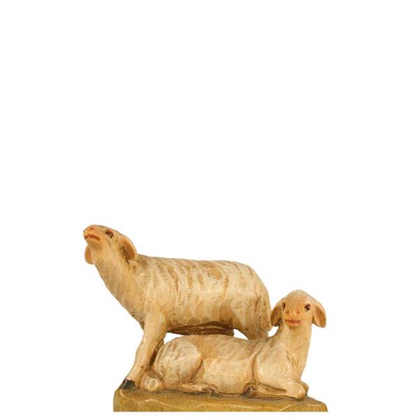 Schafgruppe Schafgruppe