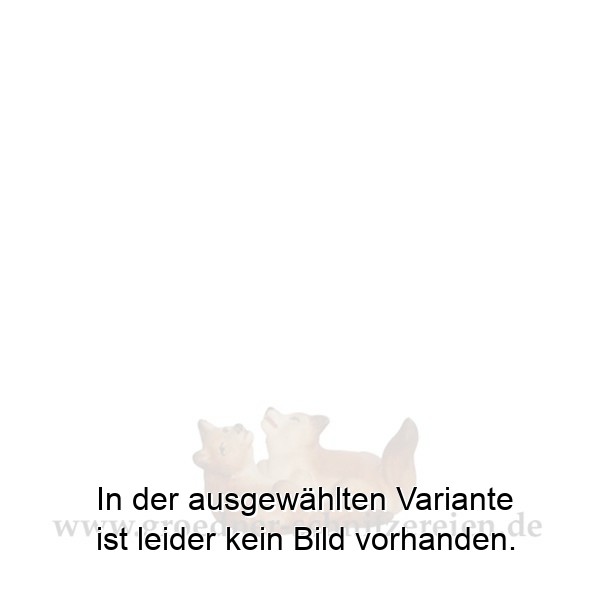 Fuchswelpenpaar spielend Fuchswelpenpaar spielend