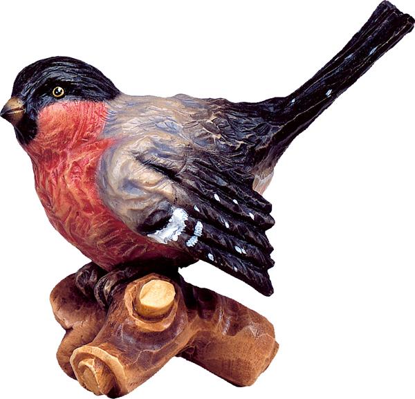 Vogel auf Ast rot