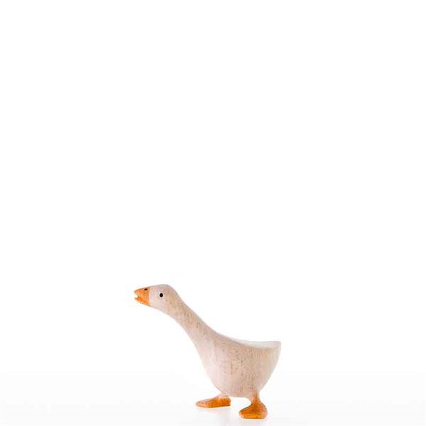 Gans seitwärtsschauend
