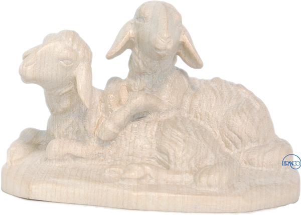 Schafgruppe liegend Schafgruppe liegend