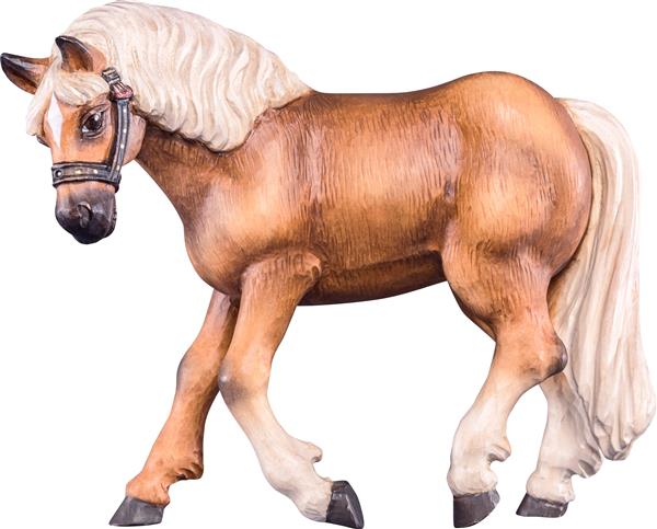 Pferd Haflinger Pferd Haflinger