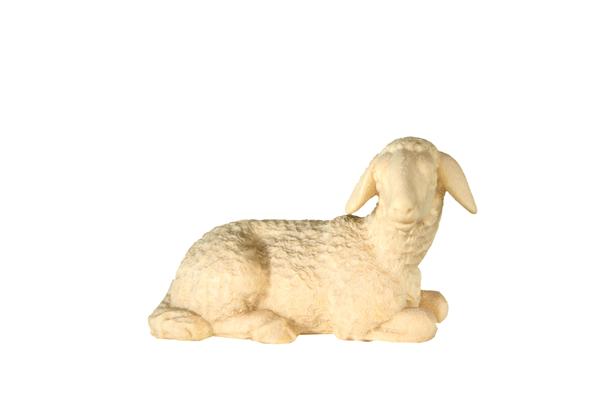 Schaf liegend Schaf liegend