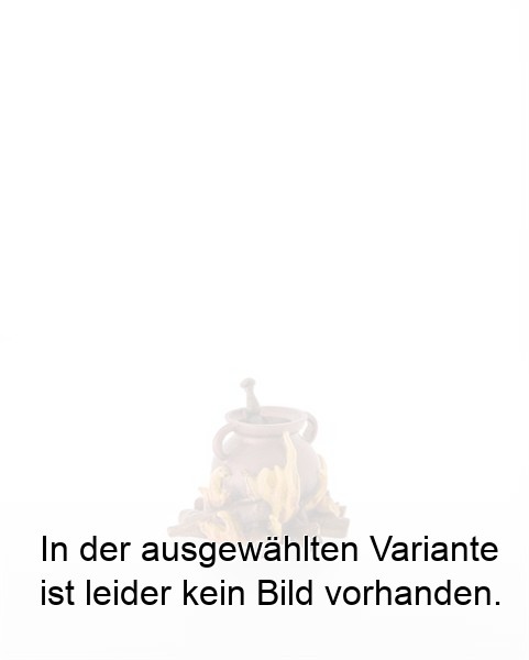 Feuerstelle mit Kupferkessel
