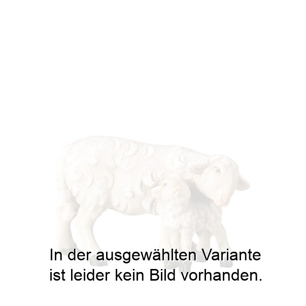 Schaf mit Lamm stehend