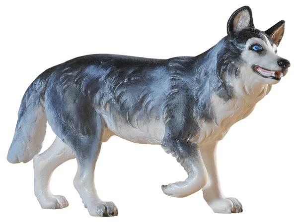 Husky