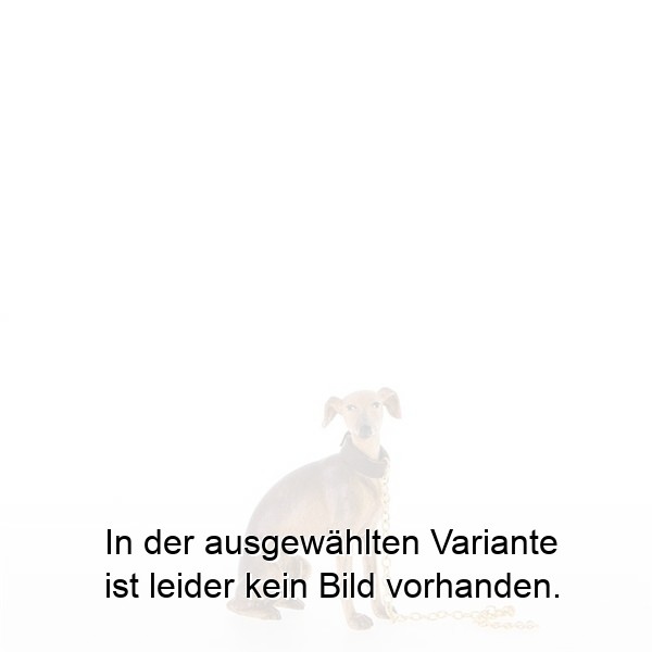 Sitzender Windhund Sitzender Windhund