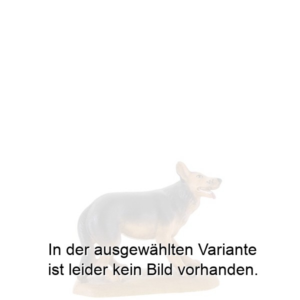 Schäferhund Schäferhund