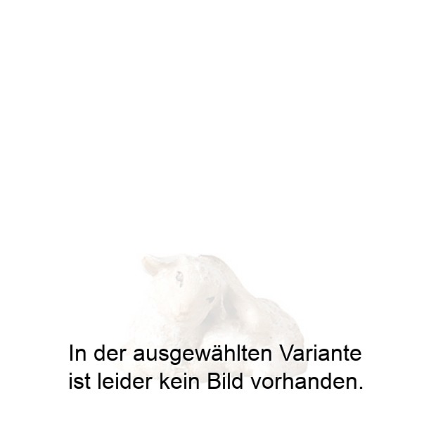 Lamm sich kratzend