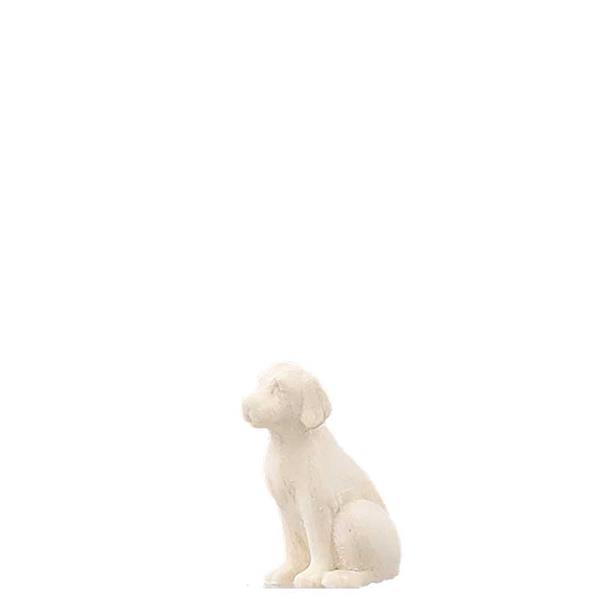Hund Hund
