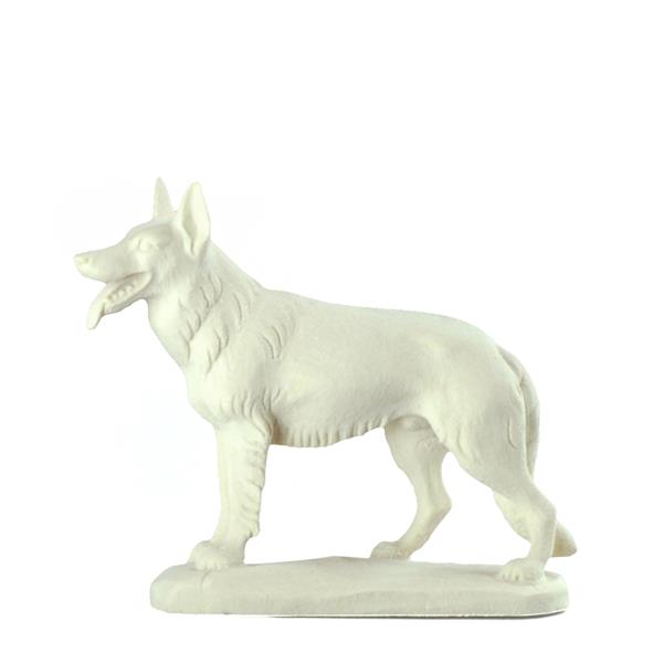 Schäferhund Schäferhund