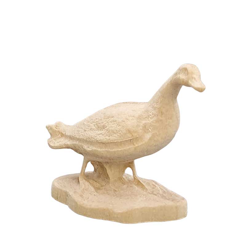Ente weiß Ente weiß