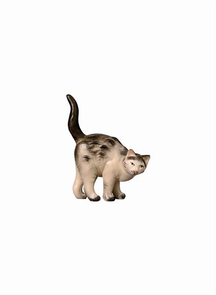 Katze stehend Katze stehend