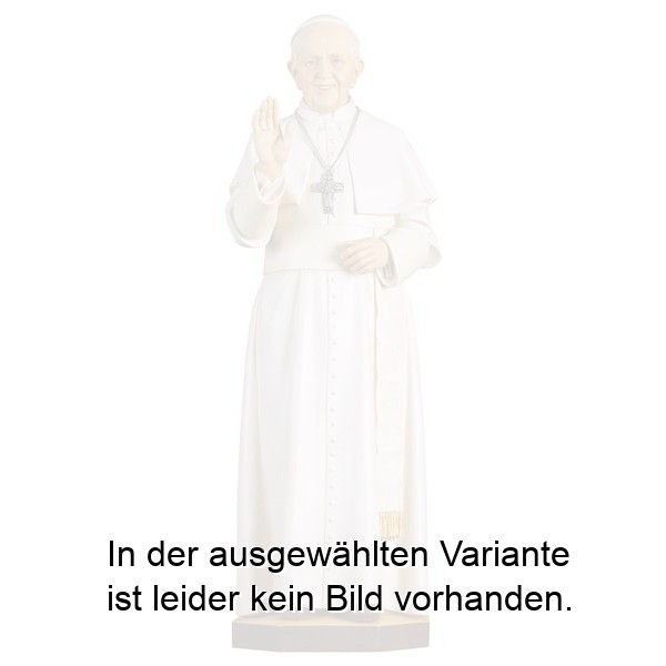 Papst Franziskus Papst Franziskus