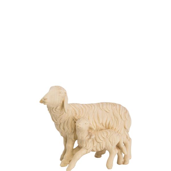 Schaf und Lamm stehend Schaf und Lamm stehend