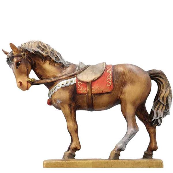Pferd dunkelbraun Pferd dunkelbraun
