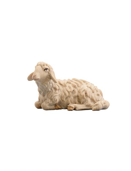 Schaf liegend