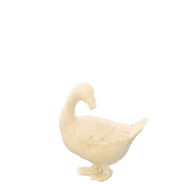 Gans nach hinten schauend Gans nach hinten schauend