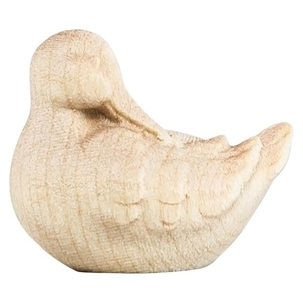 RA Erpel schlafend RA Erpel schlafend