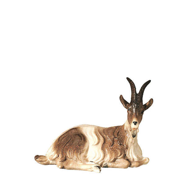 Ziege liegend Ziege liegend