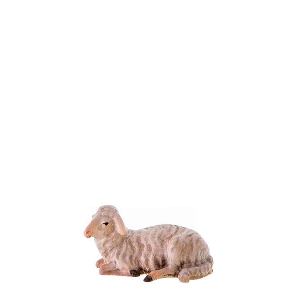 Schaf liegend Schaf liegend