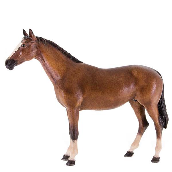 Pferd Pferd