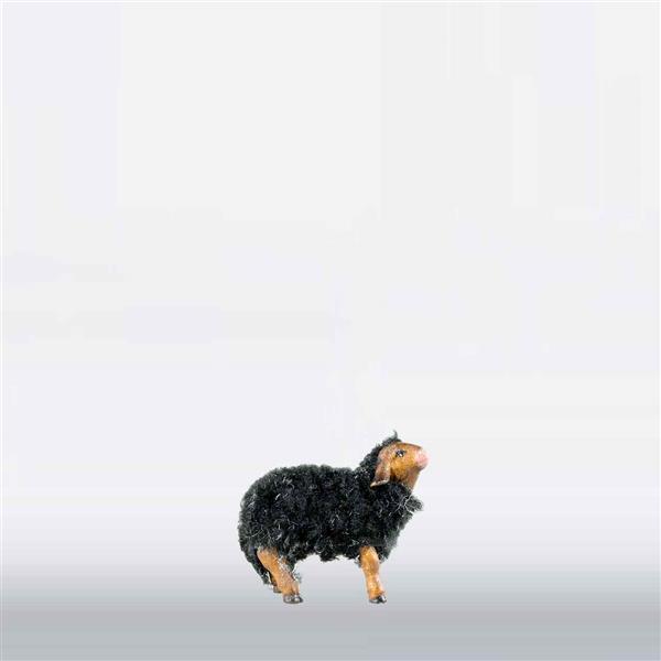 Lamm mit Wolle schwarz