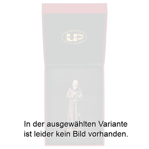 Hl. Pater Pio + Etui Hl. Pater Pio + Etui