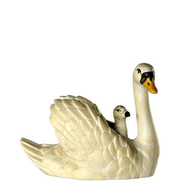 Schwan mit Junge auf Rücken Schwan mit Junge auf Rücken