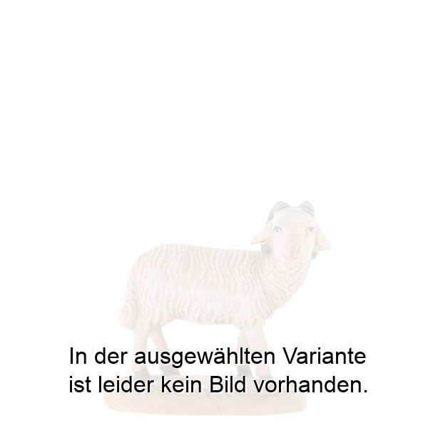 Schafbock Schafbock