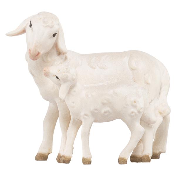 Schaf stehend mit Lamm Schaf stehend mit Lamm