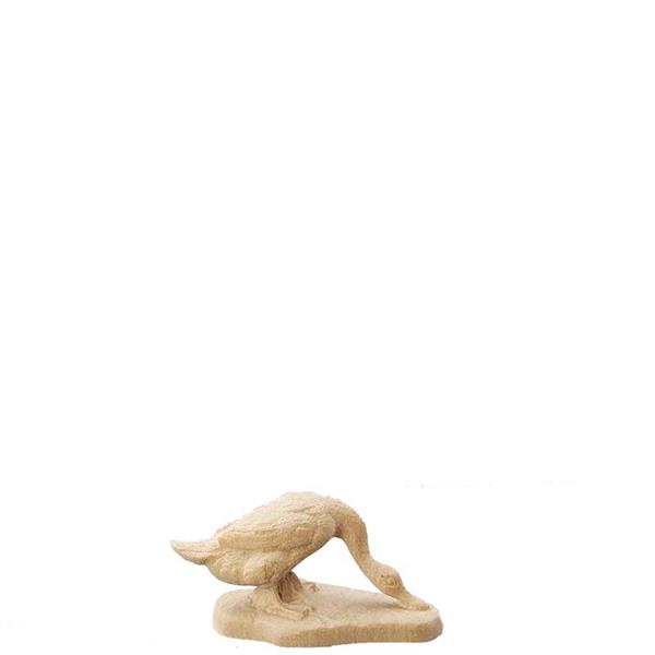 Gans fressend Gans fressend