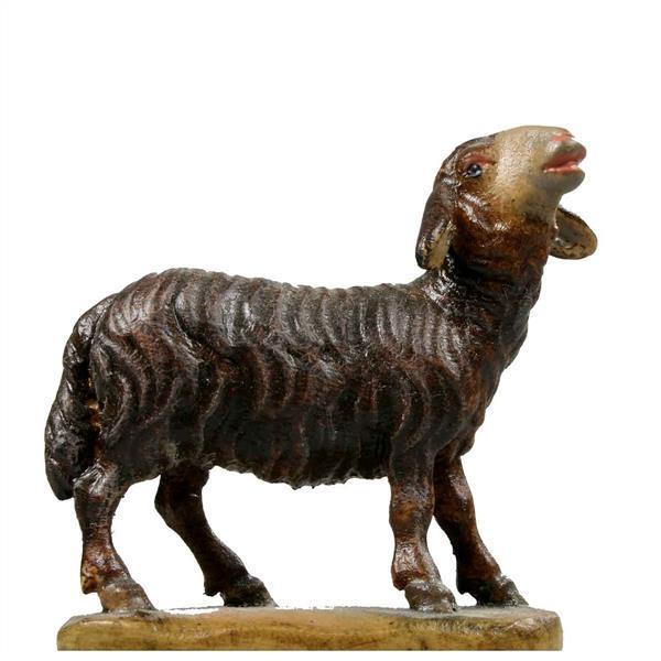 Schaf blöckend schwarz Schaf blöckend schwarz