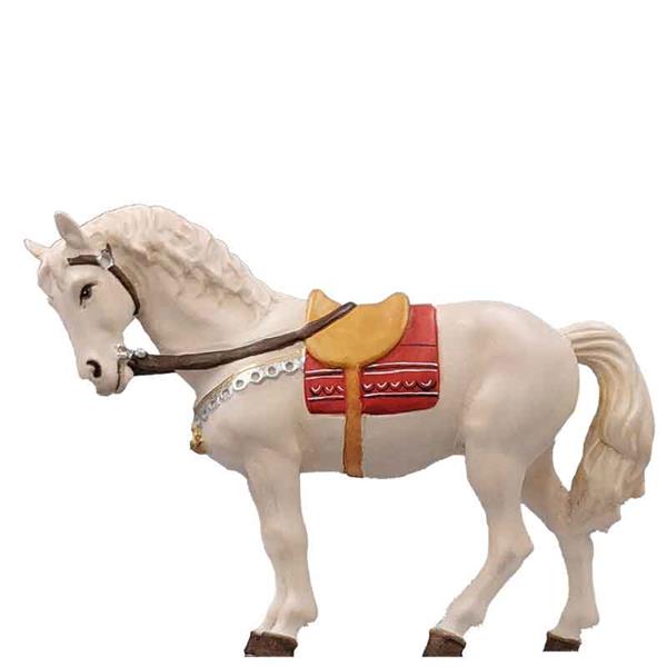 Pferd weiß Pferd weiß