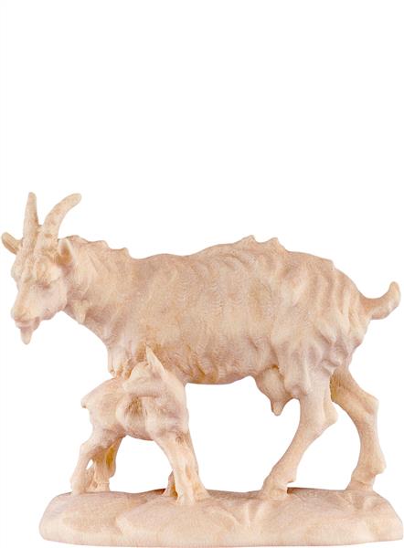 Ziege mit Kitz Ziege mit Kitz