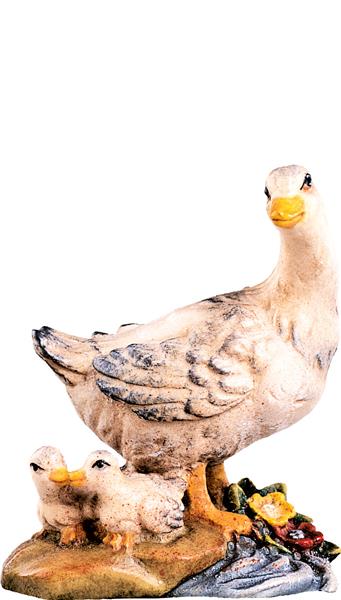 Gänsegruppe Gänsegruppe