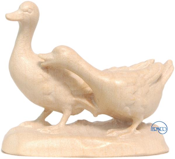 Gänsegruppe Gänsegruppe