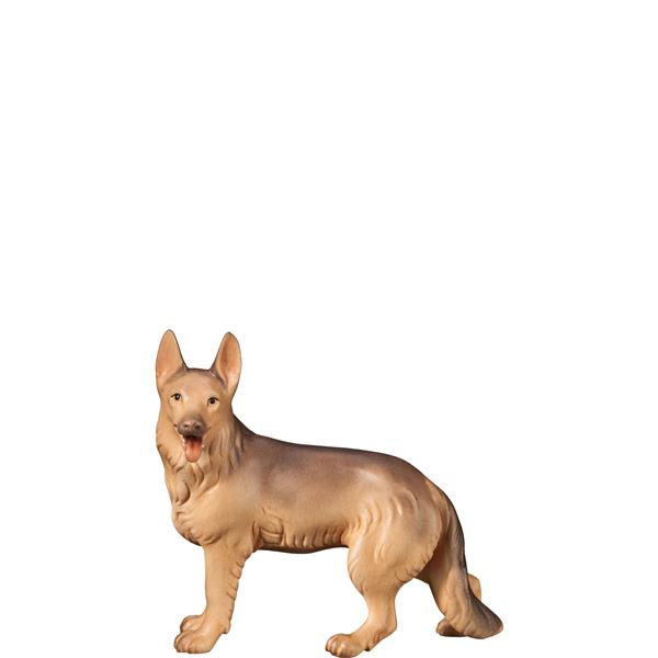 Schäferhund Schäferhund