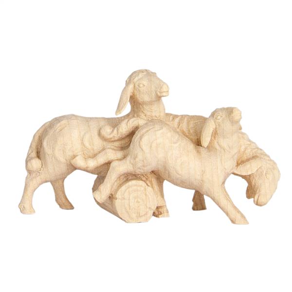 Schafgruppe Schafgruppe