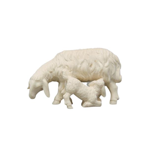Schaf mit Lamm saugend