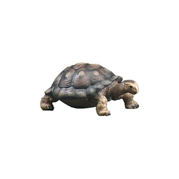 Schildkröte