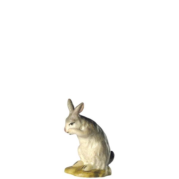 Hase stehend Hase stehend