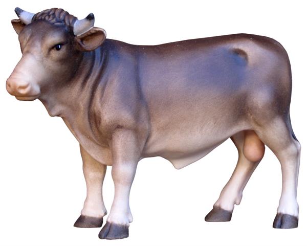 Stier - Ochs stehend Stier - Ochs stehend