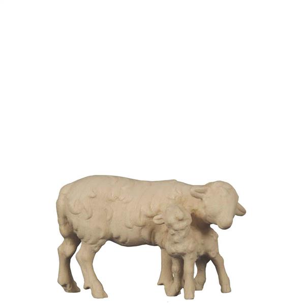 Schaf mit Lamm stehend