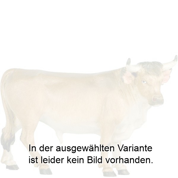 Ochs stehend Ochs stehend