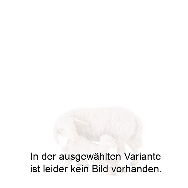 Schaf mit Lamm Schaf mit Lamm