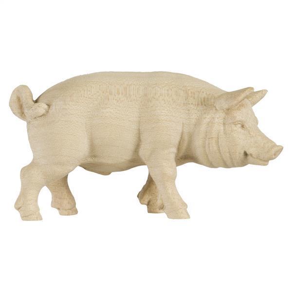 Schwein Schwein