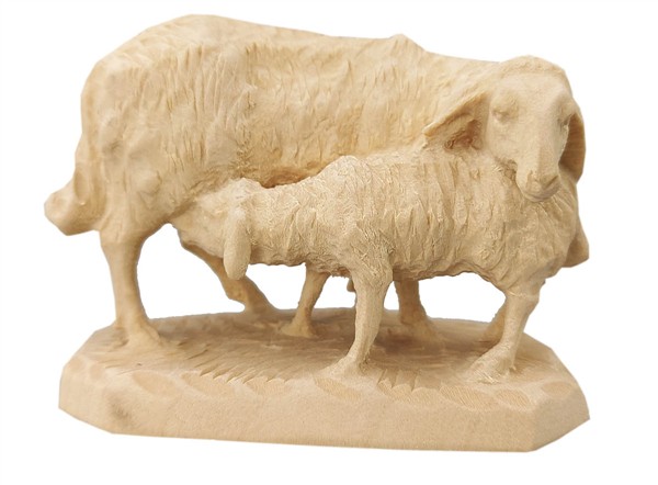 Mutterschaf Mutterschaf